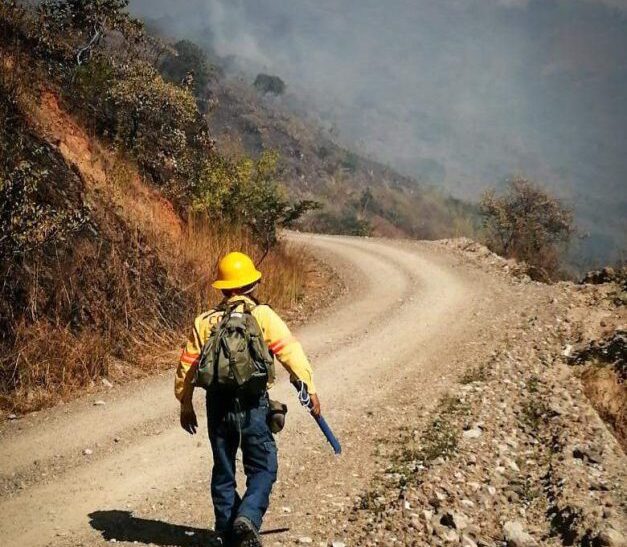 Combaten incendio forestal en la zona de los Chimalapas del estado