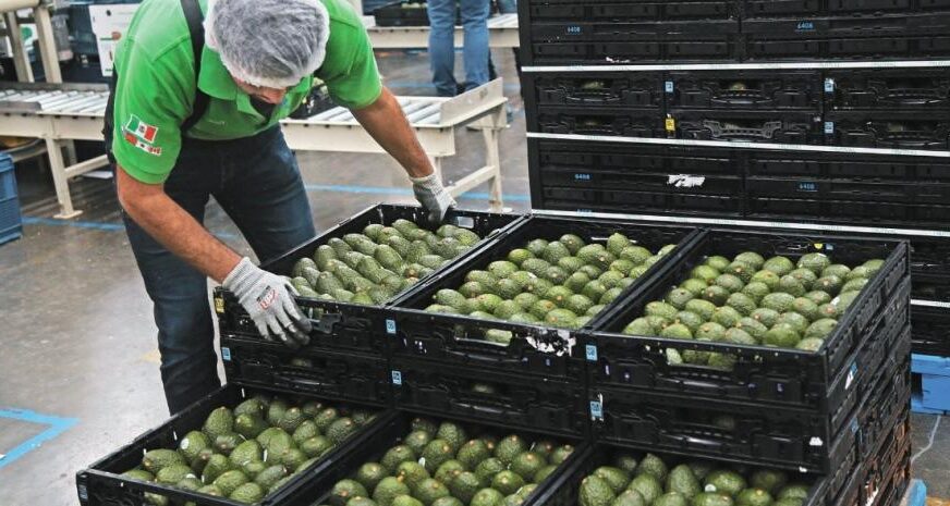 México rebasa las exportaciones agroalimentarias de todo 2021