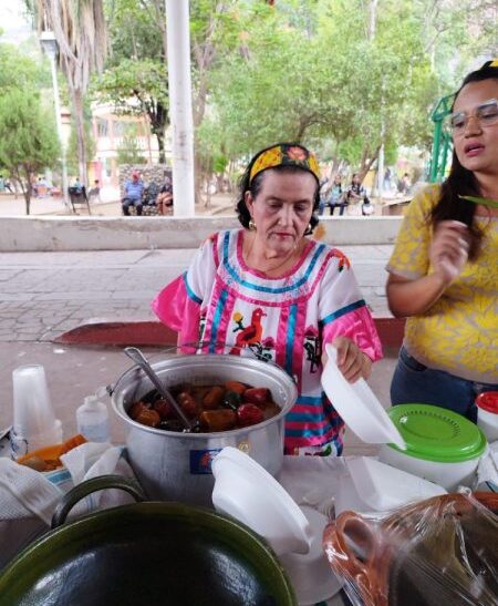 Diversidad étnica protagoniza nuevas placas de circulación en Oaxaca; distribuyen 70 mil