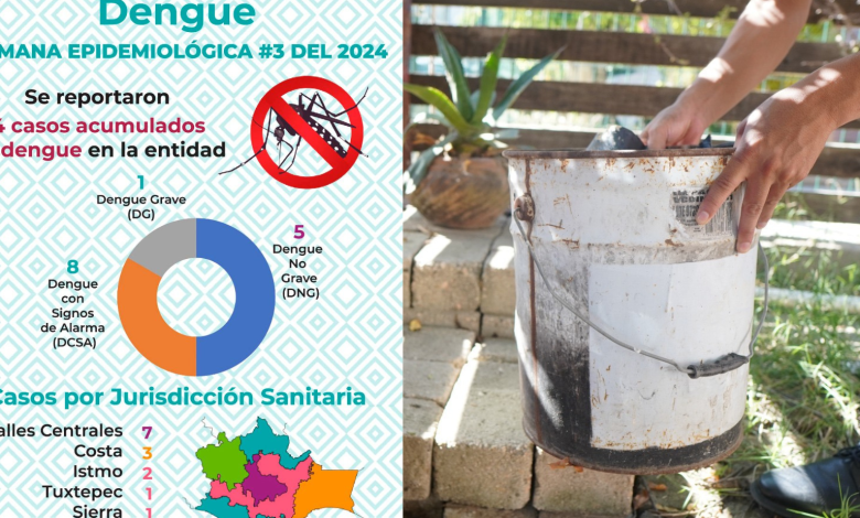 Reporta SSO 13 municipios con casos de dengue en la entidad