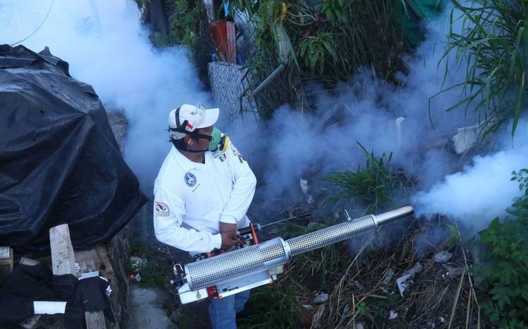 OMS aprueba nueva vacuna contra el dengue, una amenaza constante en América Latina