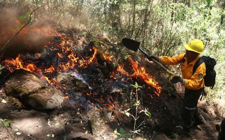 Incrementan incendios forestales 60 % en mayo