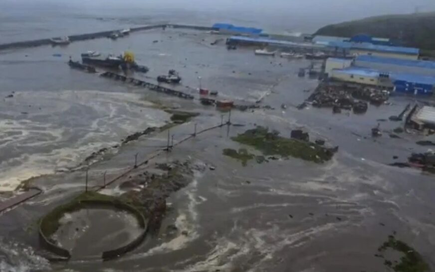 Lo imperdible del día: Tsunami en Rusia, muerte por gusano barrenador y pantallas sin Netflix