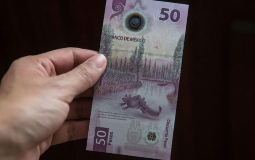 Sabías que millones de mexicanos guardan el billete de 50 pesos por considerarlo “bonito y tierno”?